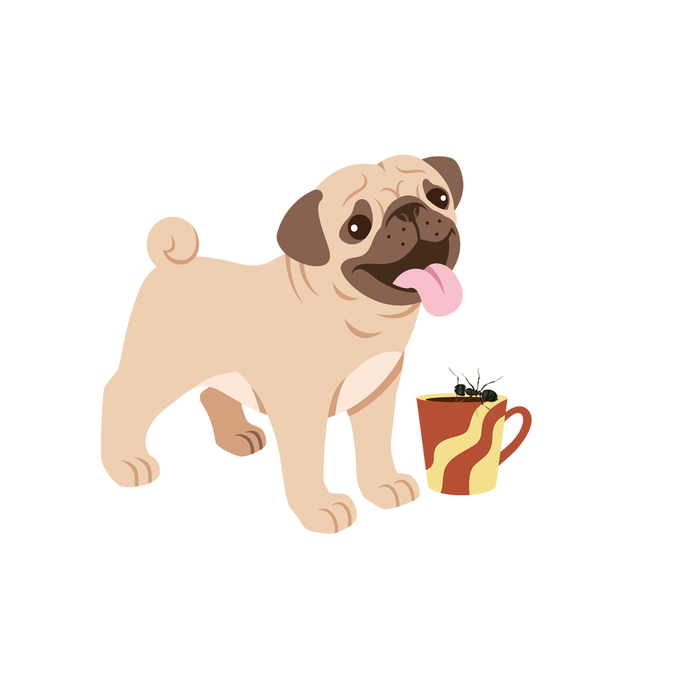 Pug took the mug
